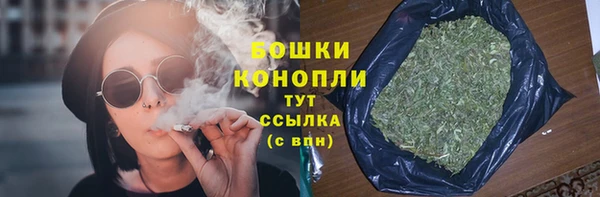 гидра Бородино