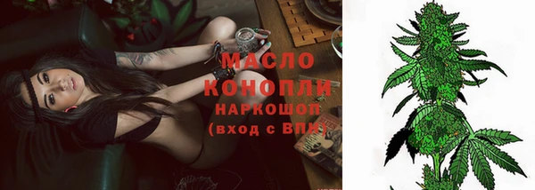 гидра Бородино