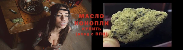 гидра Бородино
