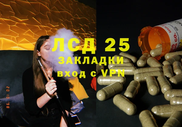 гидра Бородино