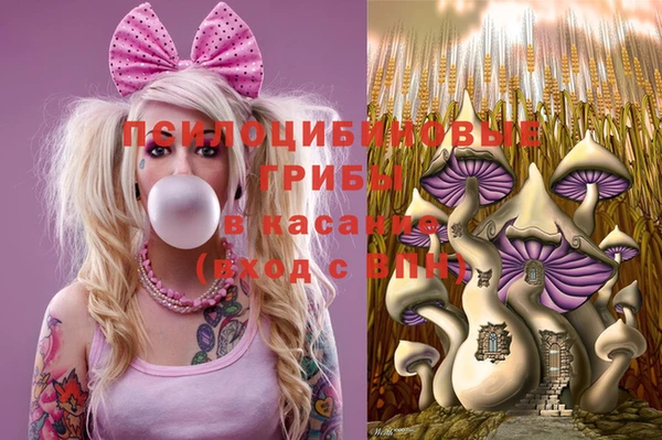 гидра Бородино