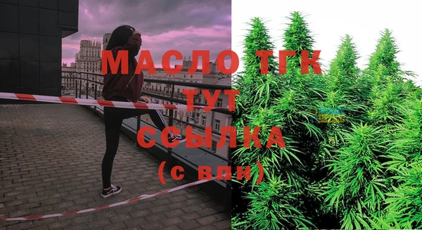 гидра Бородино