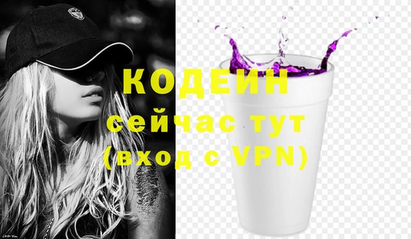 гидра Бородино