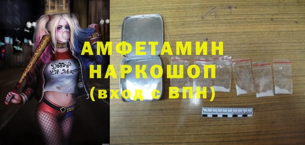 гидра Бородино