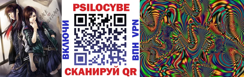 Псилоцибиновые грибы Cubensis  Нижний Новгород 